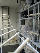 Лестница навесная хозяйственная «ЛНХ» 5 метров